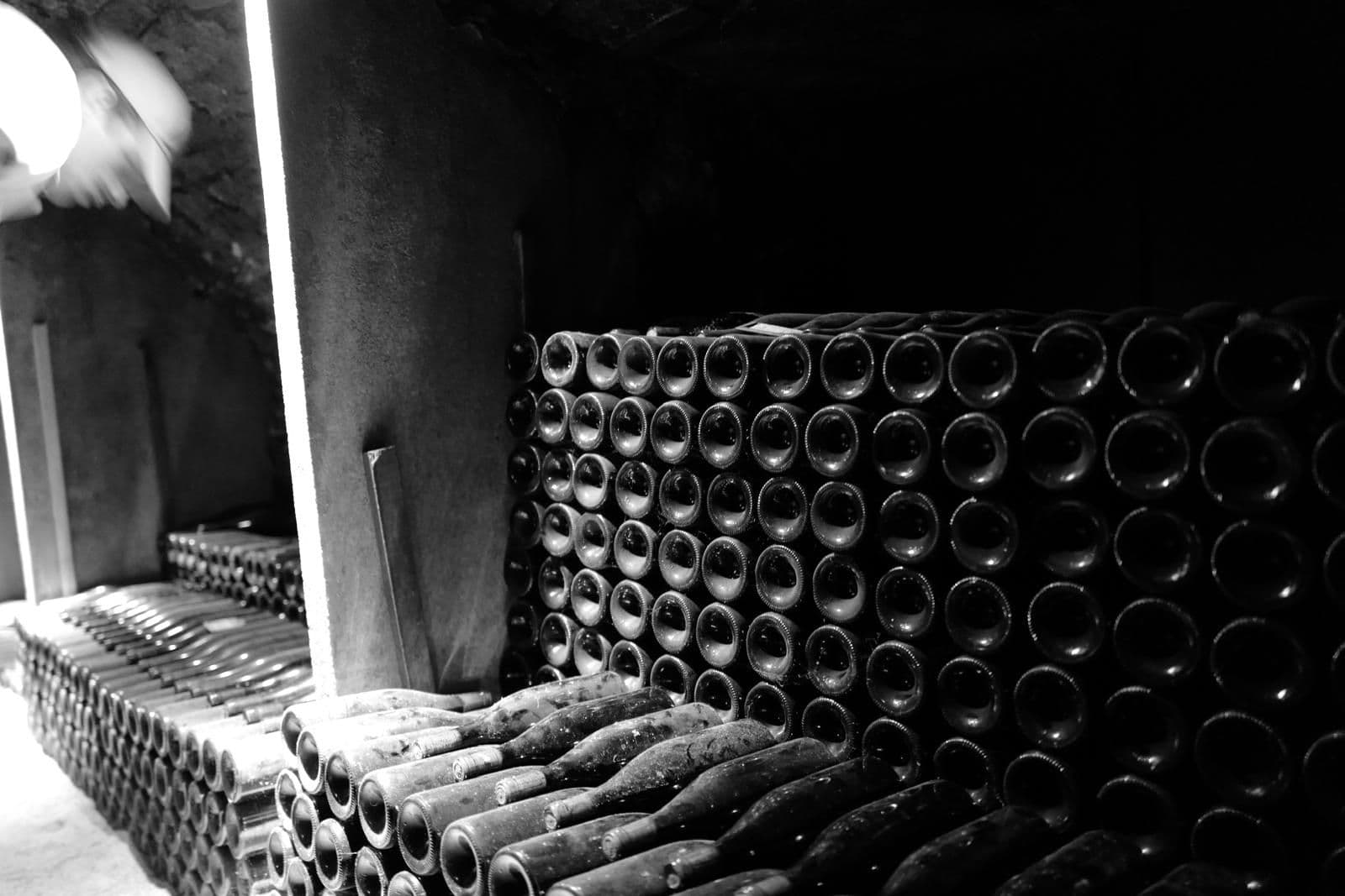 Du hast einen alten Weinkeller oder willst Wein loswerden? Schreib uns – wir kaufen auch Keller. Genau so, wie wir sie füllen.