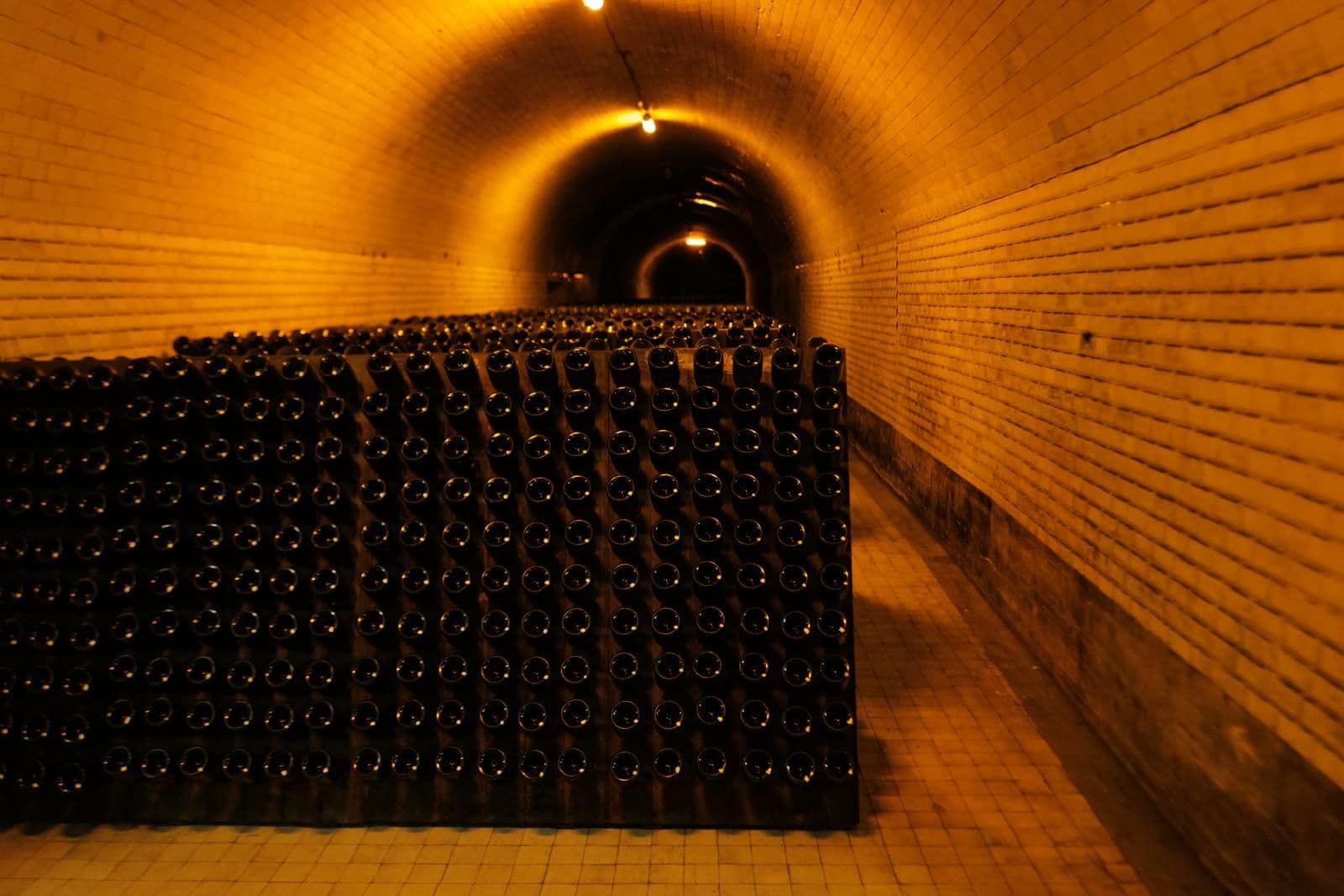 wine you love