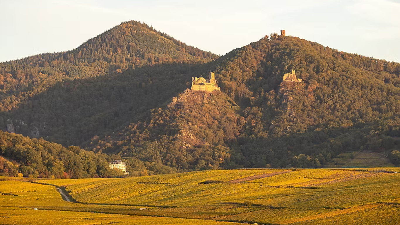 Design ohne Titel-12