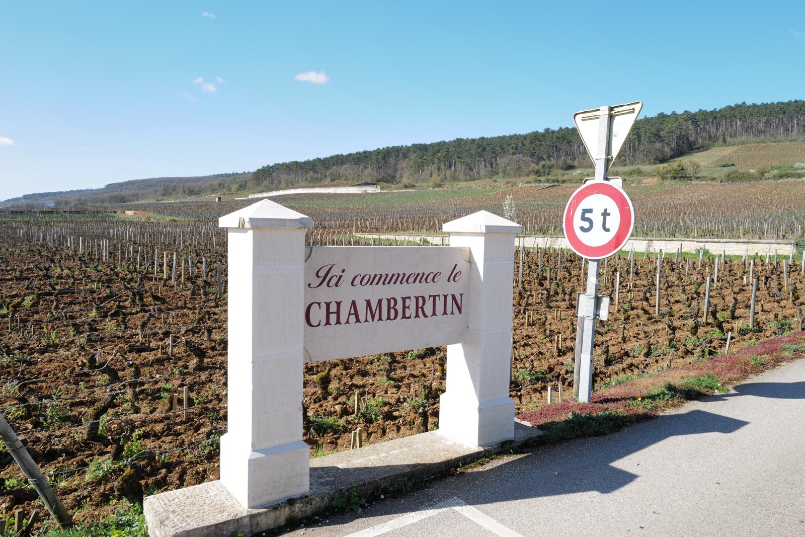 PHOTO-2025-04-01-18-17-43 Kopie