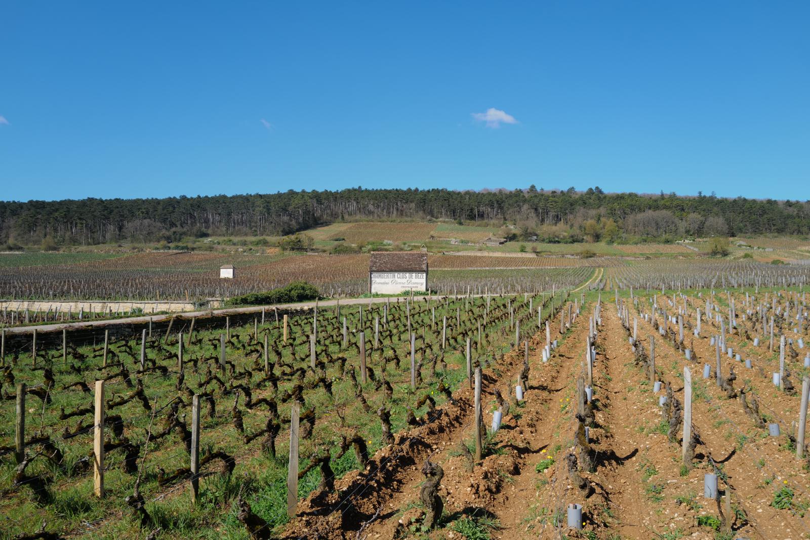 PHOTO-2025-04-01-18-17-44 Kopie