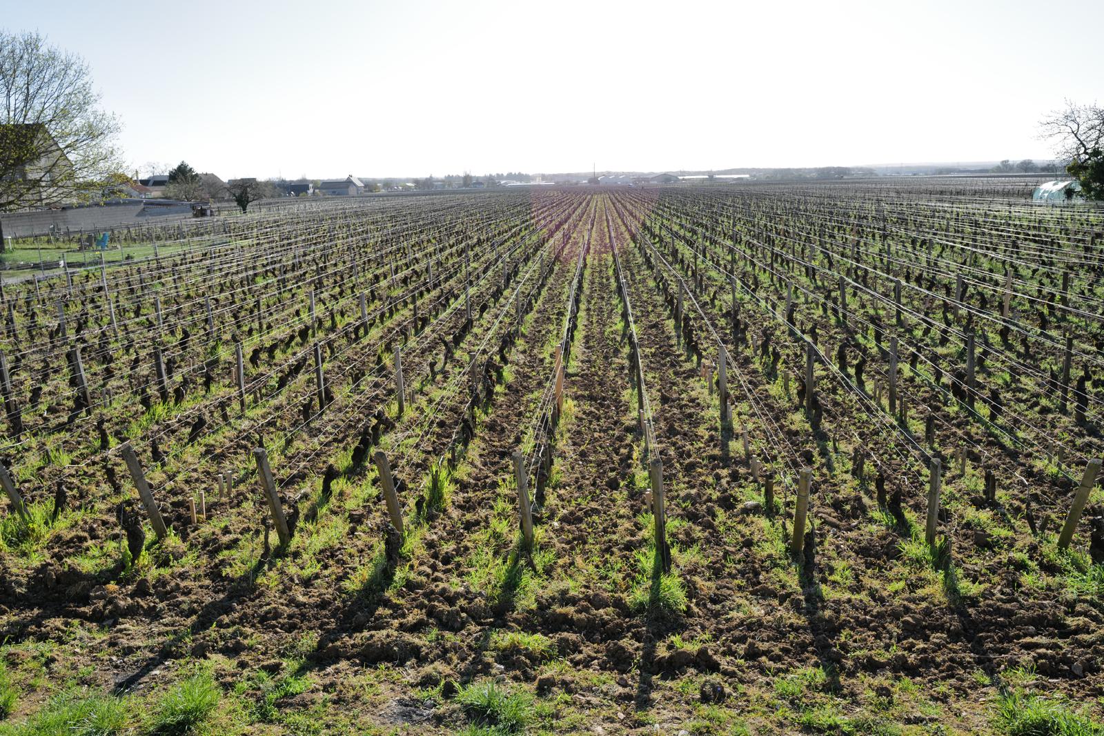 PHOTO-2025-04-01-18-17-49 Kopie